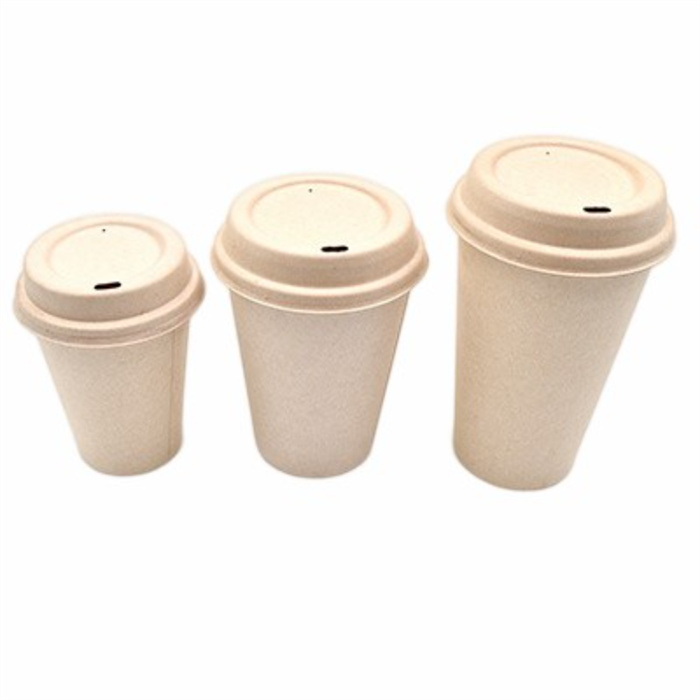 Sugarcane Water Cups from mmcis china
